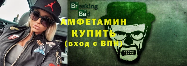 прущие грибы Медвежьегорск