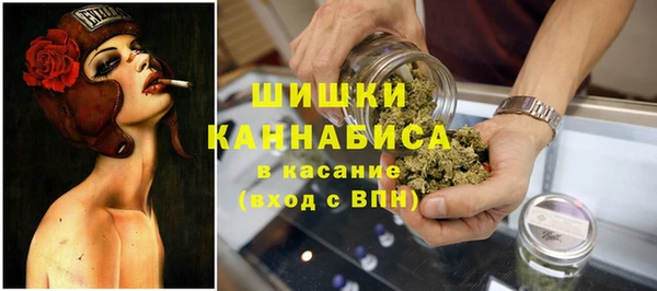 прущие грибы Медвежьегорск