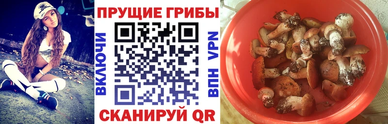Псилоцибиновые грибы мухоморы площадка клад Орск