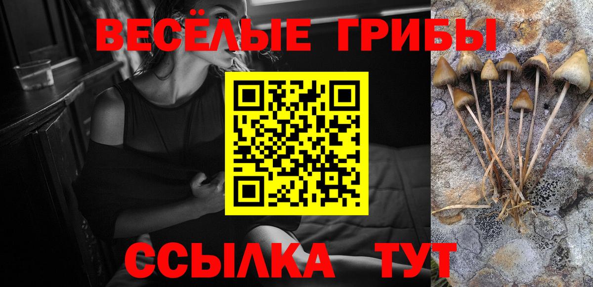 Галлюциногенные грибы мицелий Орск